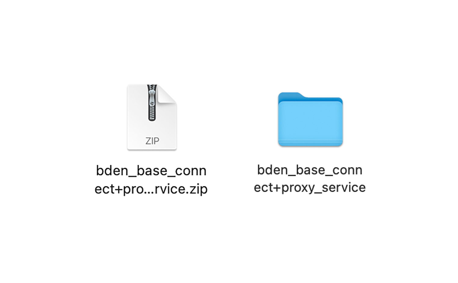 bden_base_connect+proxy_service.zipファイルを解凍する